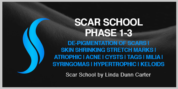 Scar School Phase 1-3 Linda Dunn Carter